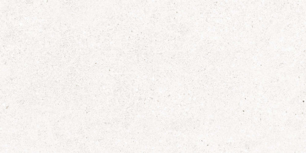 MANHATTAN WHITE AS 60X120 C/R