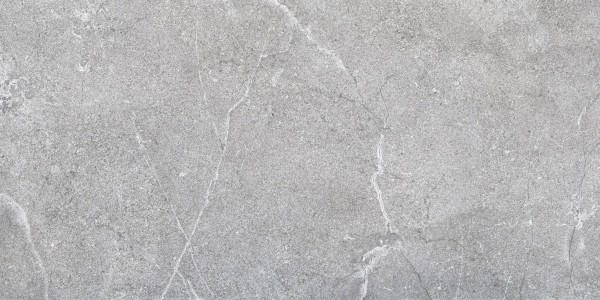 LUCCA GREY AS 60X120 C/R
