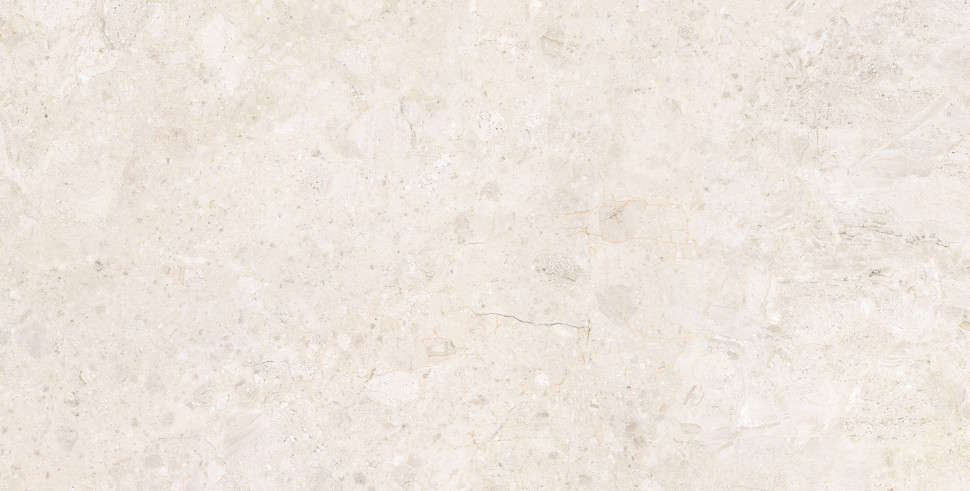 Керамогранит ARDARA WHITE SP 60X120 C/R