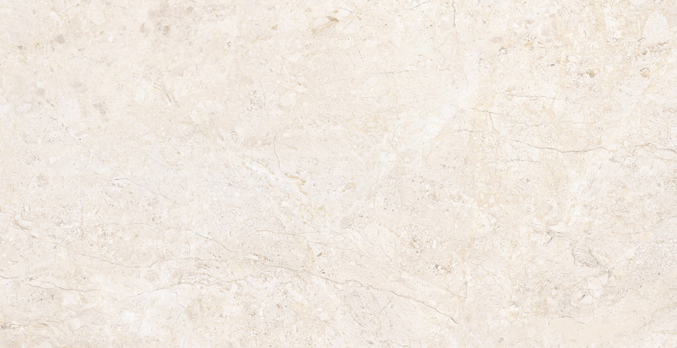 Керамогранит ARDARA WHITE SP 60X120 C/R