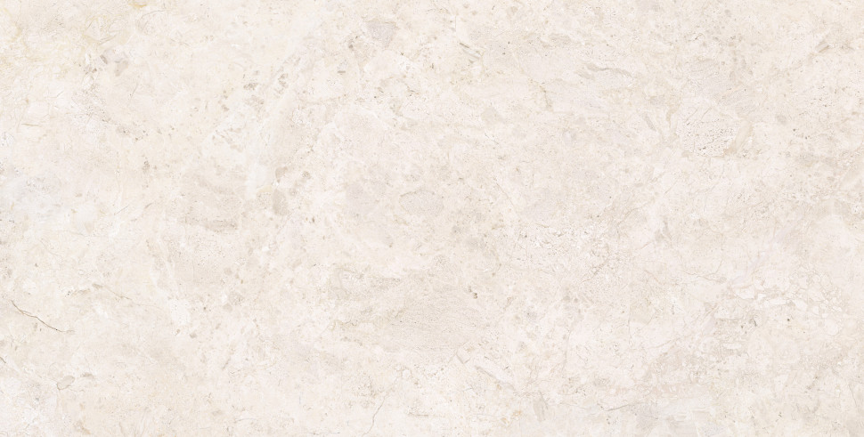 Керамогранит ARDARA WHITE SP 60X120 C/R